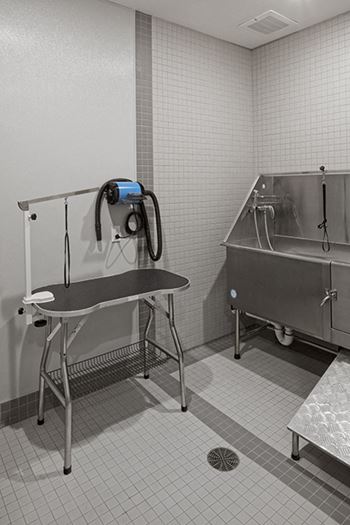 Pet spa